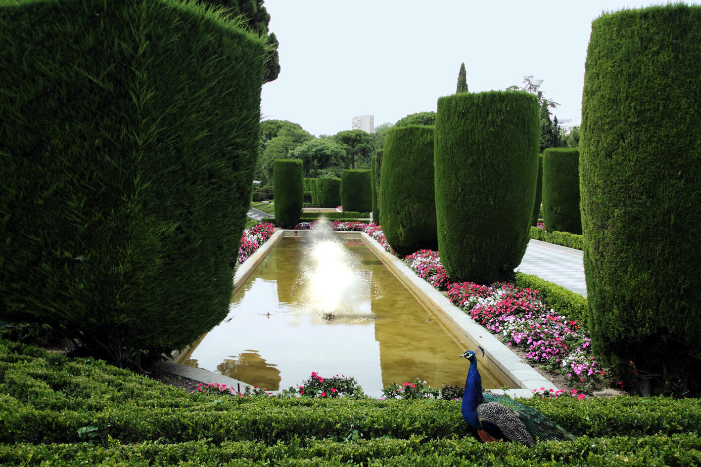 Los Jardines de Cecilio Rodriguez